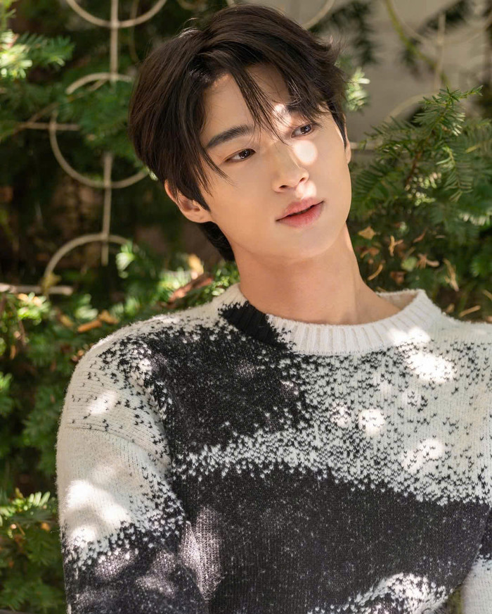 Byeon Woo Seok được ví như 'bạn trai quốc dân' sau thành công của phim Cõng anh mà chạy.