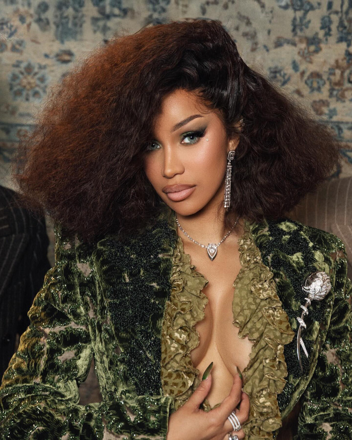 'Bản cáo trạng' cảm xúc của Cardi B Ảnh 2
