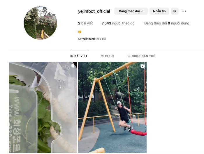 Son Ye Jin khiến dân tình xôn xao khi quyết định lập thêm một tài khoản Instagram mới. Ảnh: Chụp màn hình