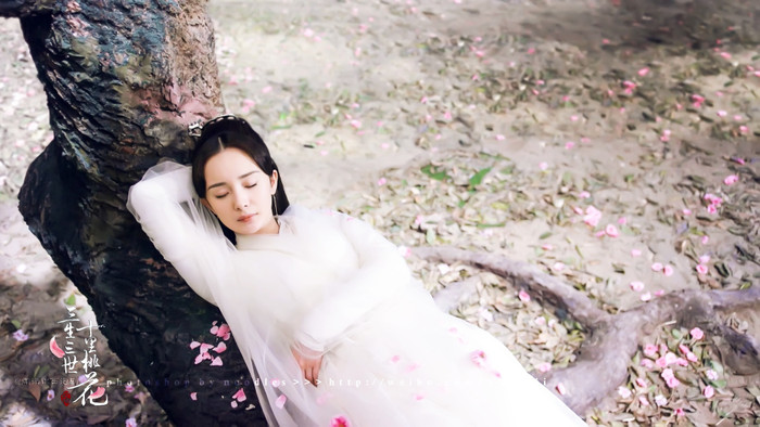 Tam Sinh Tam Thế Thập Lý Đào Hoa - Dương Mịch, Triệu Hựu Đình (Ảnh: Weibo). 